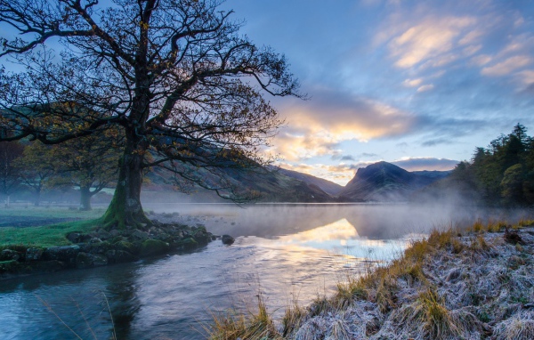 Ил на берегу