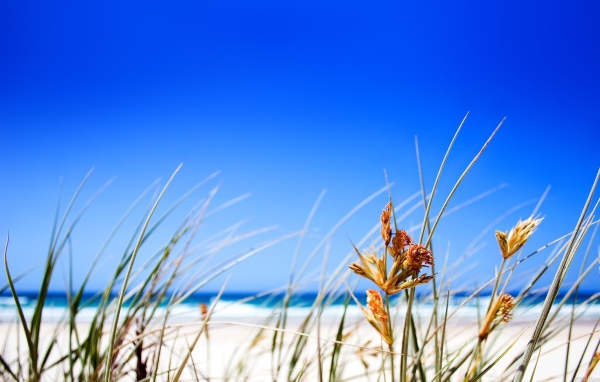 Чистое небо над пляжем