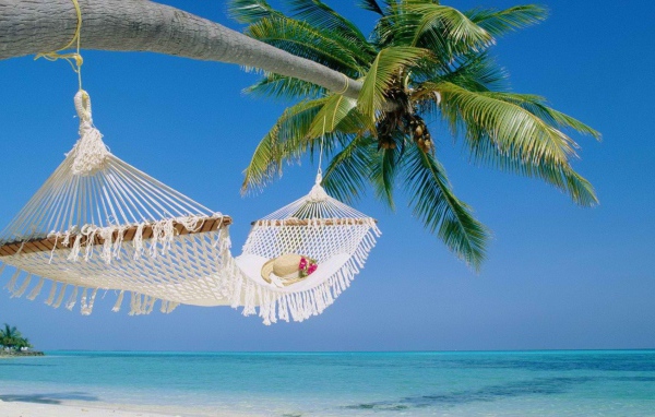 Гамак на пальме