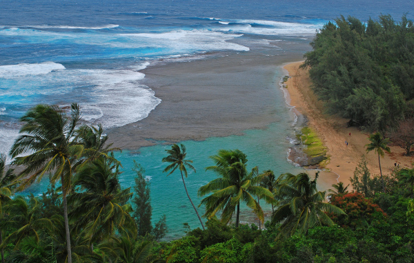 Дикий пляж у моря