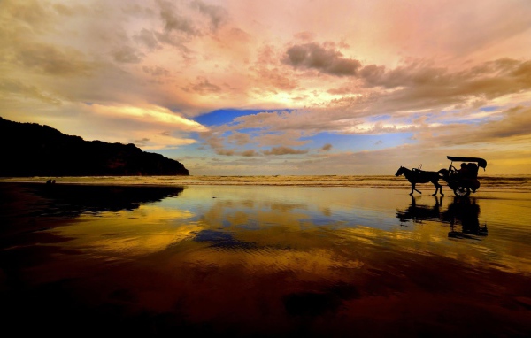 Катание на лошади по пляжу