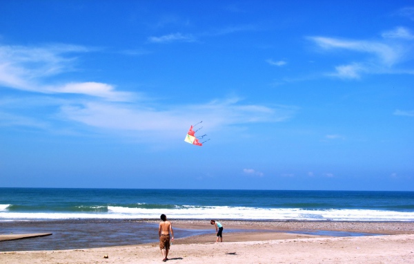	   Kite flying