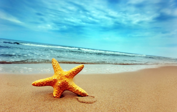 Морская звезда в песке пляжа