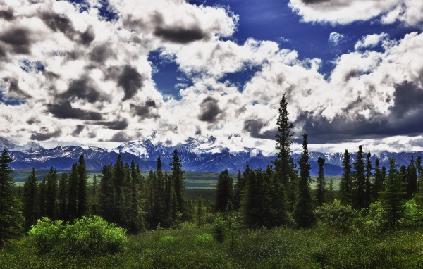 Красивые облака над лесом