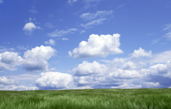 Облака над полем