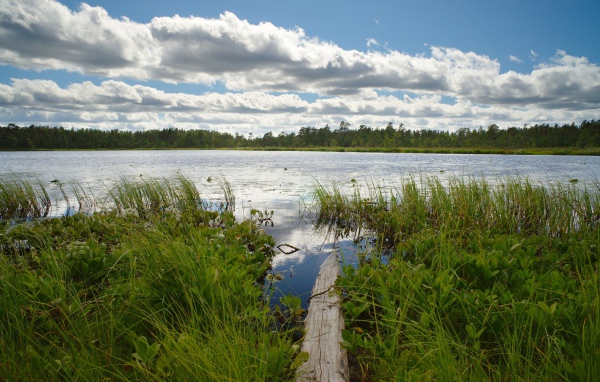 Облака над озером
