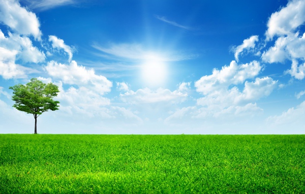 День солнечного света