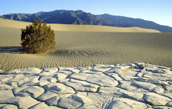 Пустынный пейзаж с горами