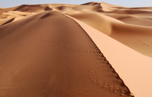 Следы на песке в пустыне