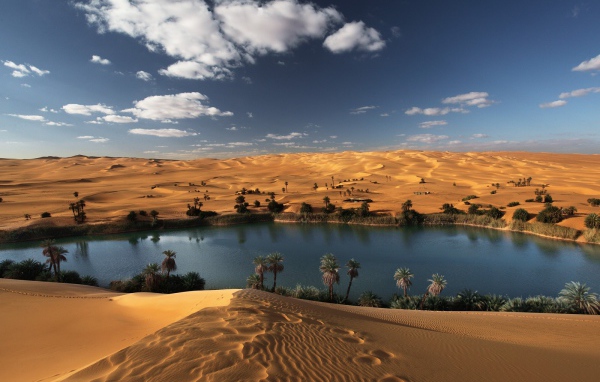 Оазис в пустыне Ливии