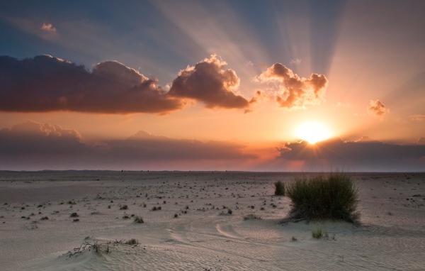 Белый песок пустыни