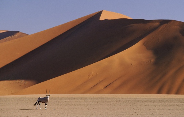 Пустыня Намибии