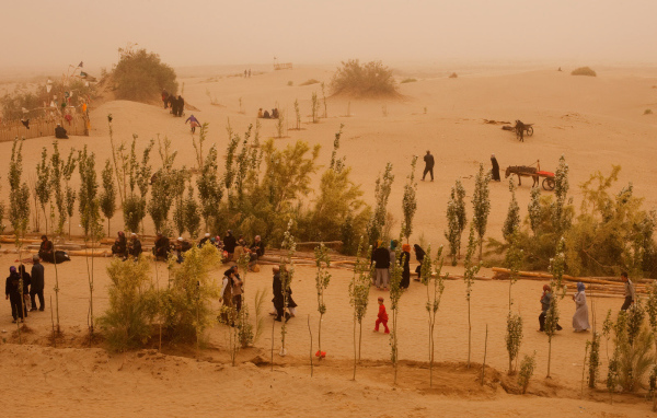 Жизнь в пустыне