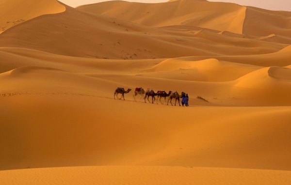 Морокко пустыня сахара