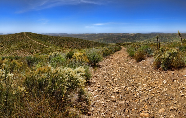 Каменистая дорога в пустыне