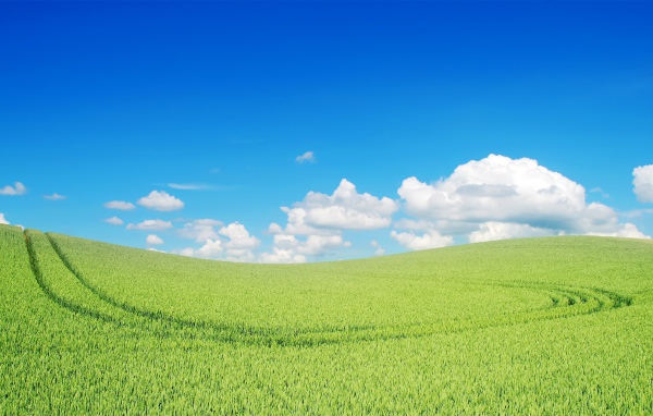 Прекрасный зеленый пейзаж