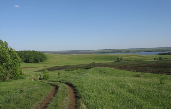 Поле и река