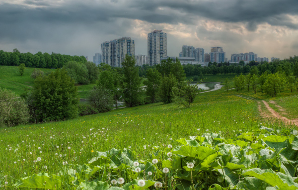 Поле на окраине города