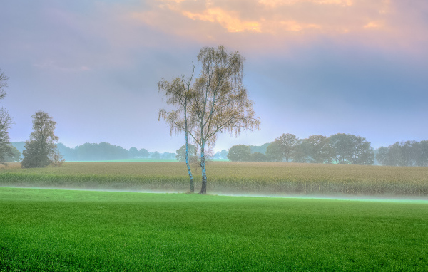 Туман над полем