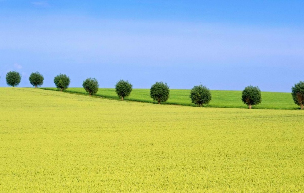 Природа Швеции