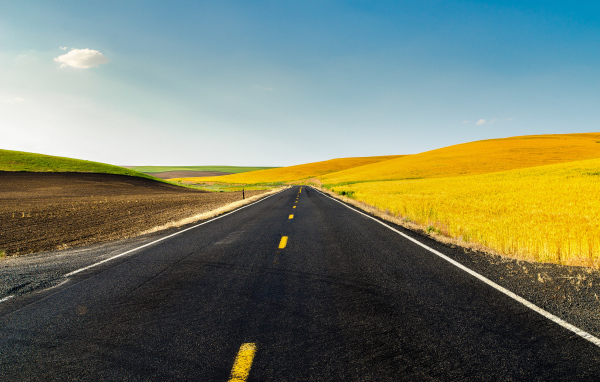 Дорога и жёлтые поля