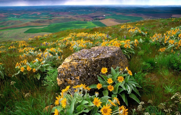 Пейзаж штата Вашингтон