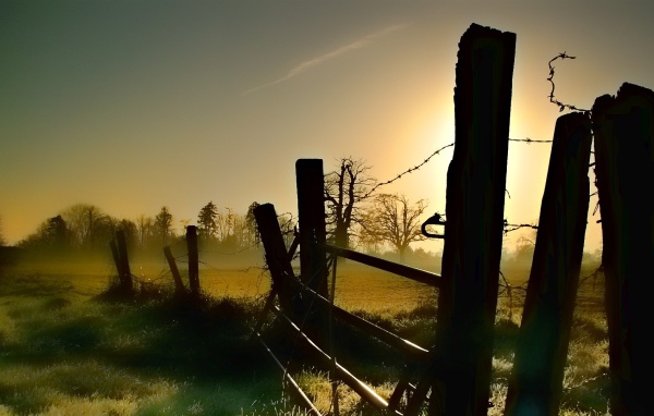Старая ограда из колючей проволоки