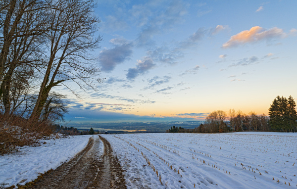 Дорога в зимнем поле