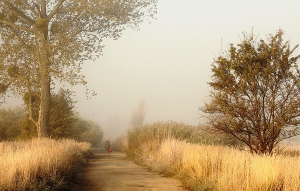 Одинокий человек на дороге