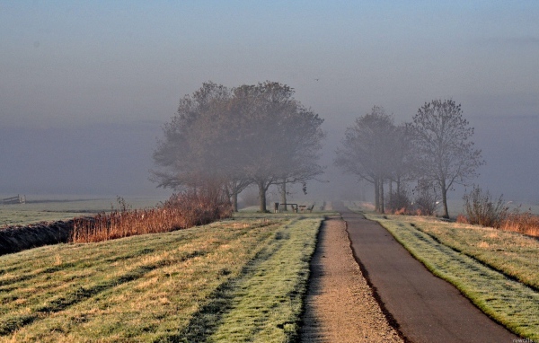 Дорога ведущая в туман