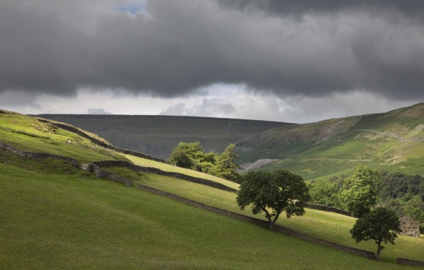 Поля огороженные заборами