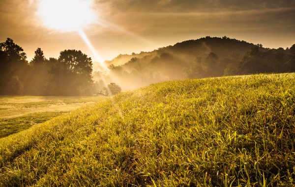 Холм в солнечных лучах