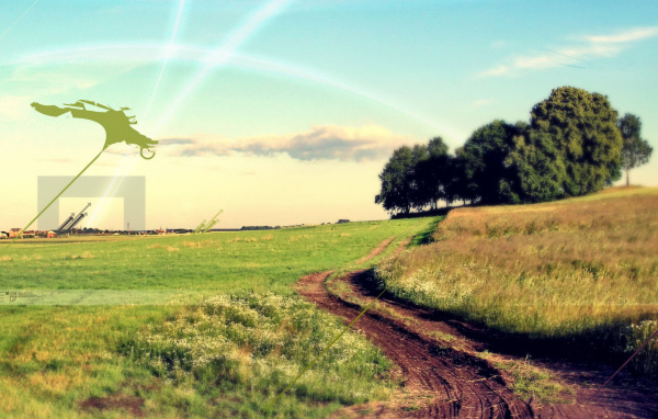 Дорога через поле в лес