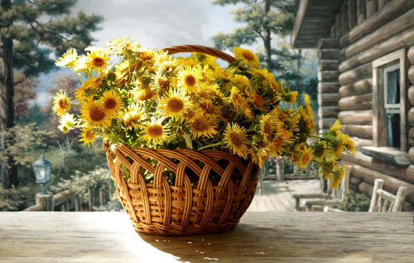 Красивые цветы хризантема в корзине