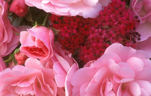 Букет от сердца