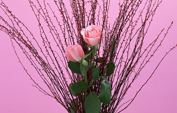 Букет из веток и роз