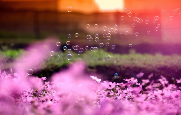 Мыльные пузыри