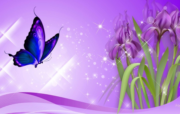 Бабочка на ирисах