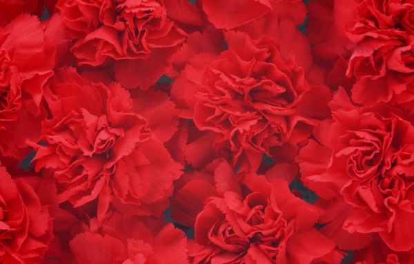 Цветочный фон