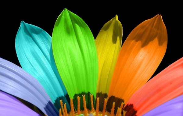 Семицветик