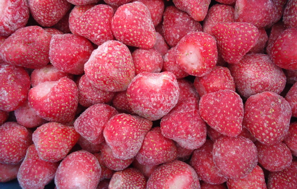 Плоды растения восковник