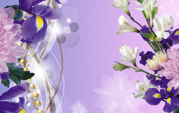 Ирисы на фоне неба