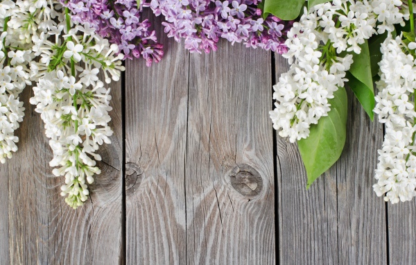 Сирень на досках