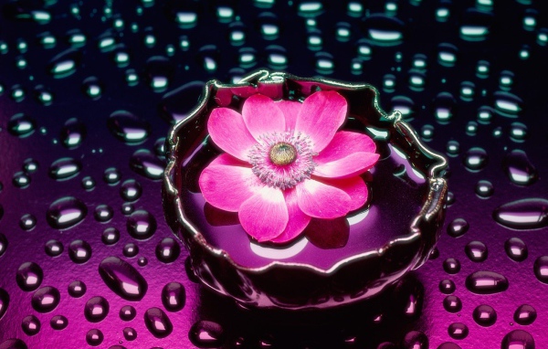 Лепестки и вода