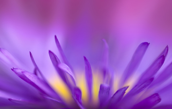 Фиолетовое пламя