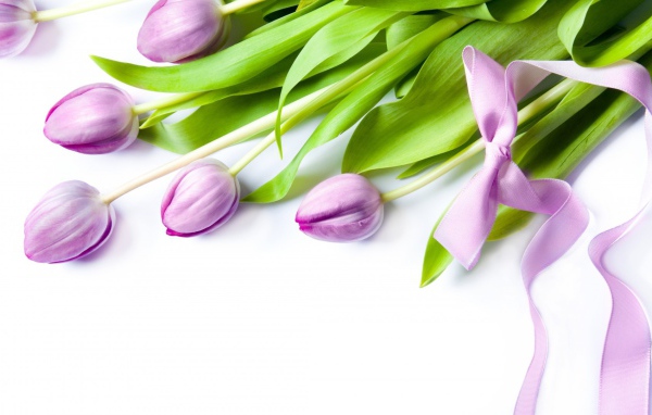 Фиолетовые цветы с бантом