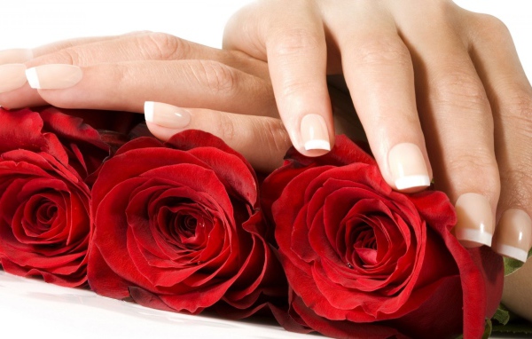 Red roses and female hands