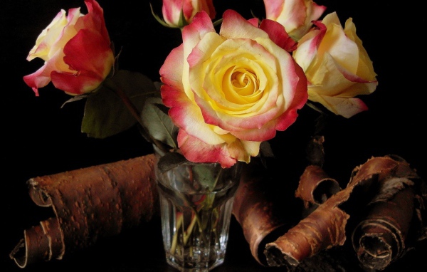 Розы в стакане