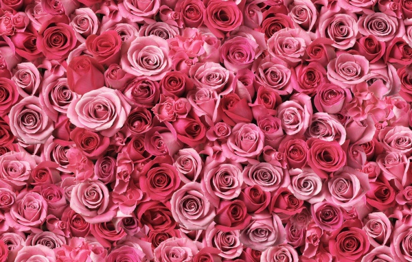 Спирали любви 