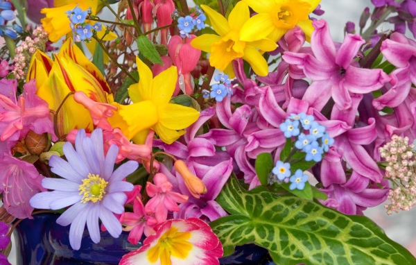 Цветы из весеннего сада